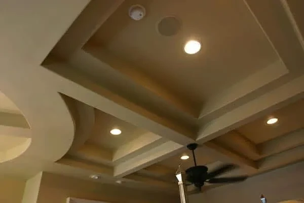 Great Ceiling ' Artwork Details - custom home by Jenkins Design Build Austin TX