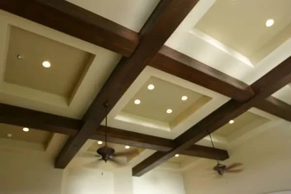 Great Ceiling ' Artwork Details - custom home by Jenkins Design Build Austin TX