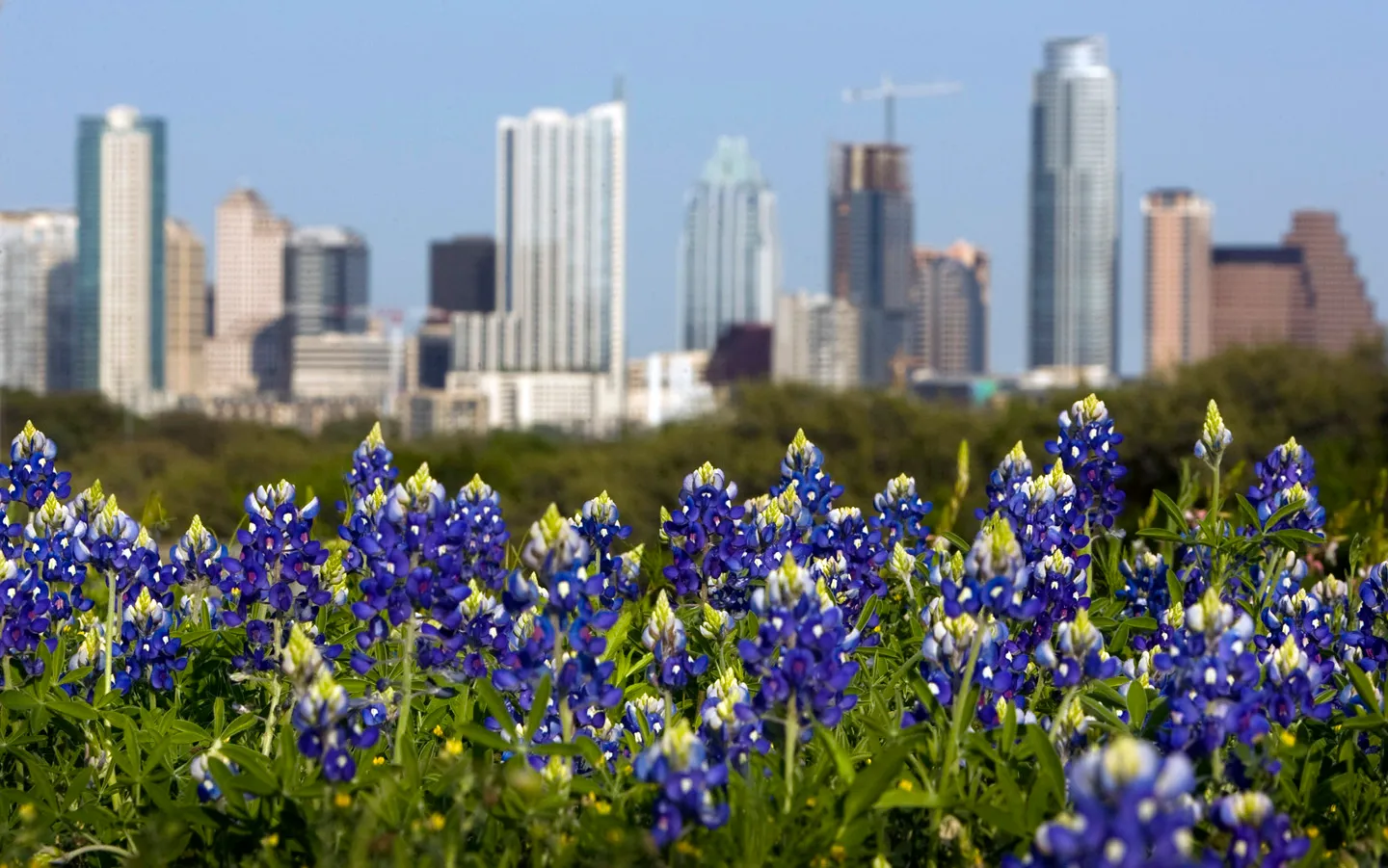 Austin is #1….Again!