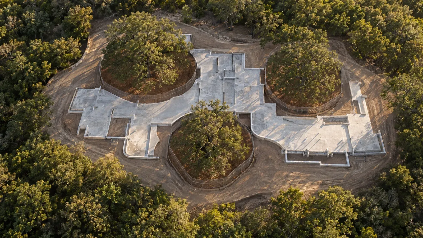 Aerial view of a new estate foundation curving around three fenced heritage oaks and their critical root zones