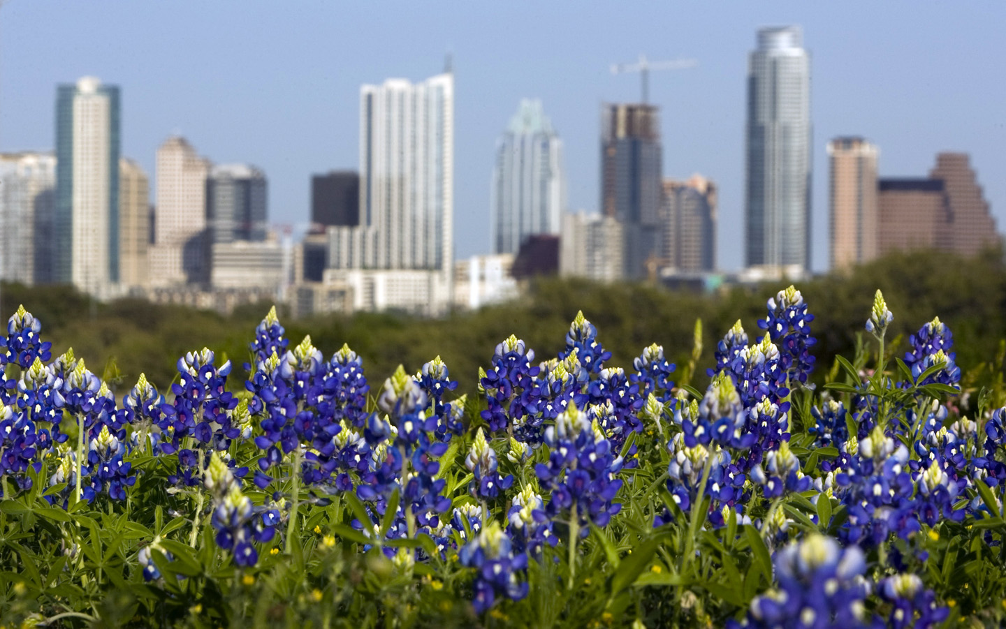 Is Austin, Texas, The Best City In America?